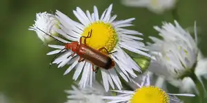 2011 | BERLIN | GRUNEWALD | © carsten riede fotografie