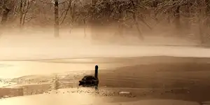 2014 | BERLIN | EIN WINTERTAG | © carsten riede fotografie