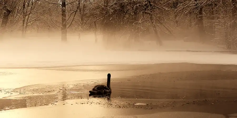 2014 | BERLIN | EIN WINTERTAG | © carsten riede fotografie