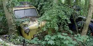 2015 | ERKRATH – NEANDERTAL | IM WALD DER TOTEN AUTOS | © carsten riede fotografie