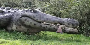 2016 | GLOWE | DINOSAURIERLAND RÜGEN | © carsten riede fotografie