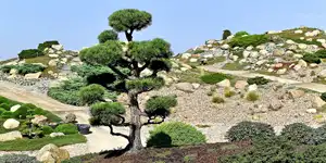 2016 | NOCHTEN | FINDLINGSPARK 2.0 | © carsten riede fotografie