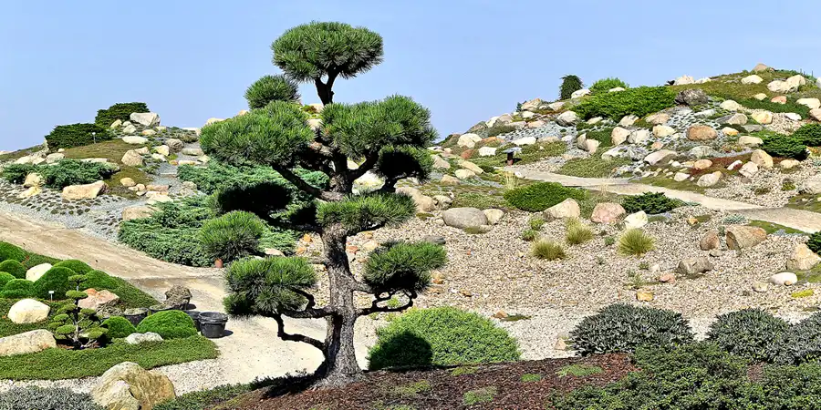 2016 | NOCHTEN | FINDLINGSPARK 2.0 | © carsten riede fotografie