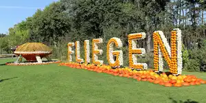 2016 | BEELITZ – GT KLAISTOW | FLIEGER, FLÜGEL, FLUGOBJEKTE | © carsten riede fotografie