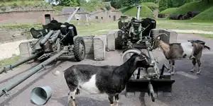 2019 | ŚWINOUJŚCIE | FORT GERHARDA | © carsten riede fotografie