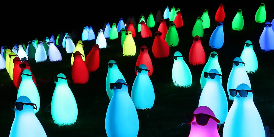 2019 | BERLIN | PINGVASION | © carsten riede fotografie