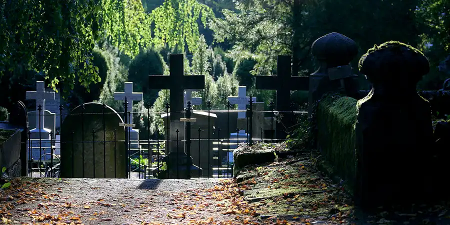 2020 | WEIMAR | HISTORISCHER FRIEDHOF | © carsten riede fotografie