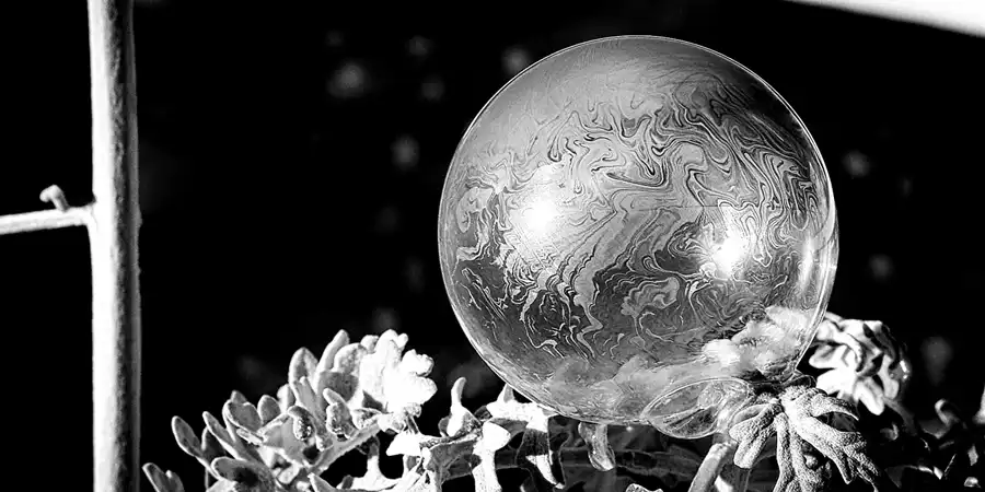 2021 | BERLIN | FROSTY | © carsten riede fotografie