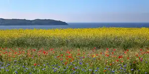 2022 | RÜGEN | MEERBLICKE IX | © carsten riede fotografie