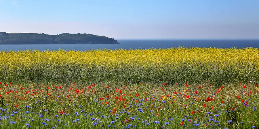 2022 | RÜGEN | MEERBLICKE IX | © carsten riede fotografie