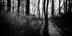 2025 | BERLIN | SONNTAGSSPAZIERGANG | © carsten riede fotografie