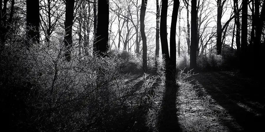 2025 | BERLIN | SONNTAGSSPAZIERGANG | © carsten riede fotografie