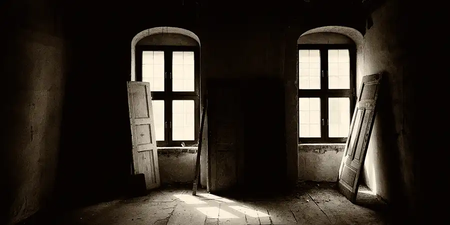 2025 | GÖRLITZ | BRAUNER HIRSCH | © carsten riede fotografie