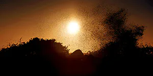 2025 | JYLLAND | SOL, HAV OG SAND | © carsten riede fotografie